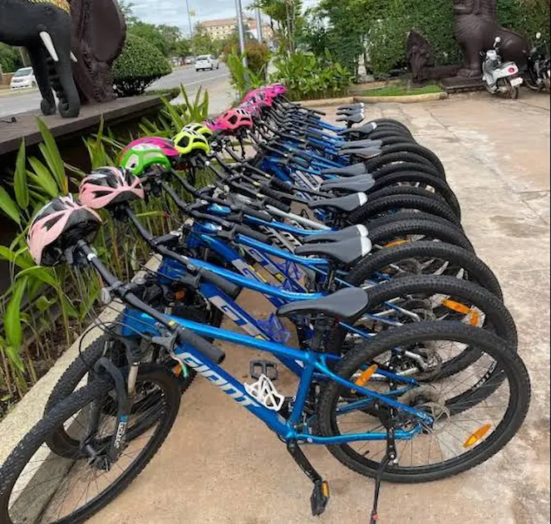 Bike rental fleet